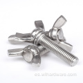 DIN316 SS304 SS316 Bolt de acero inoxidable